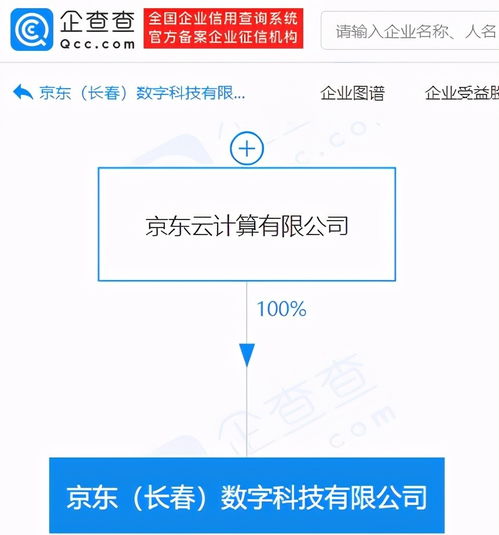基礎軟件服務 數(shù)字化時代的基石與創(chuàng)新引擎